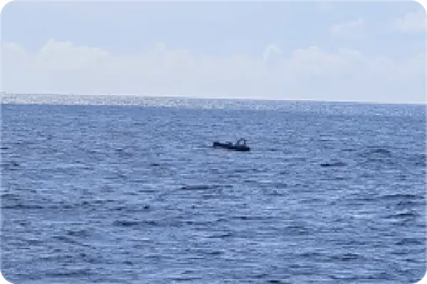 4m Ocean Surveillance USV